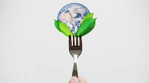 ecologische voedselproductie
