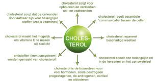 dieet te hoog cholesterol