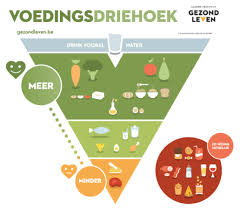 gezonde voeding schema