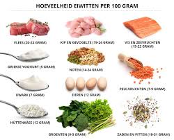 voeding met veel proteine