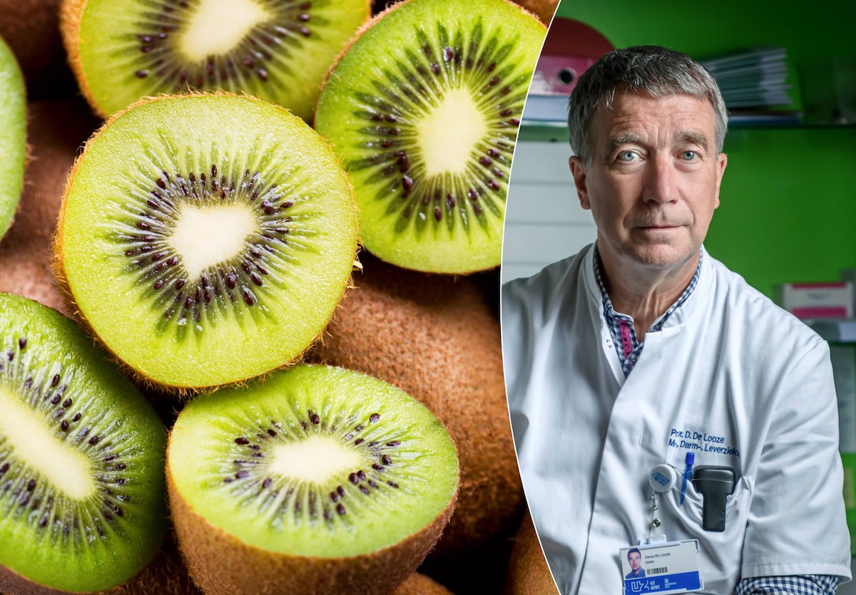 goed voedsel voor darmen