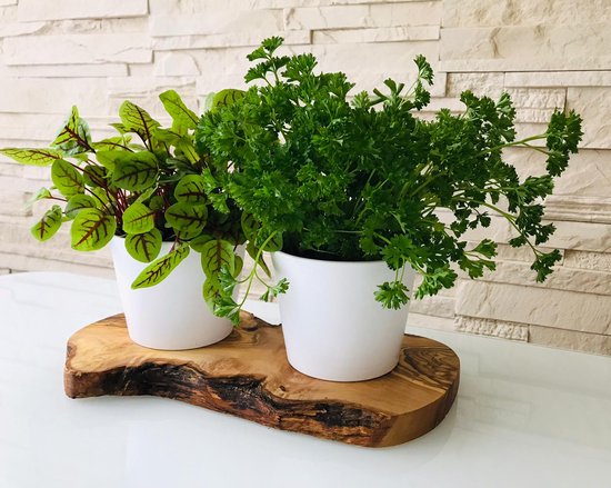 verse kruiden keuken