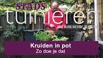 kruiden planten in bloembak