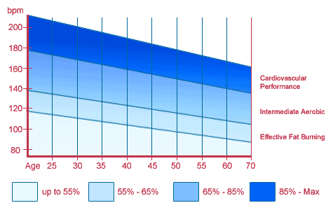 vet verbranden dieet schema