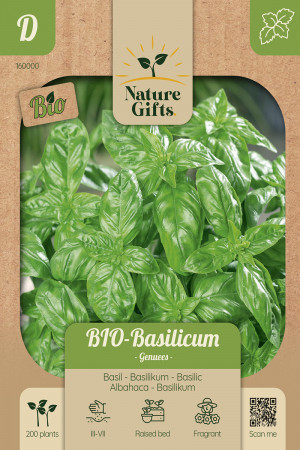 basilicum zaden