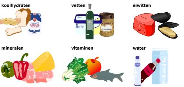 mineralen voeding
