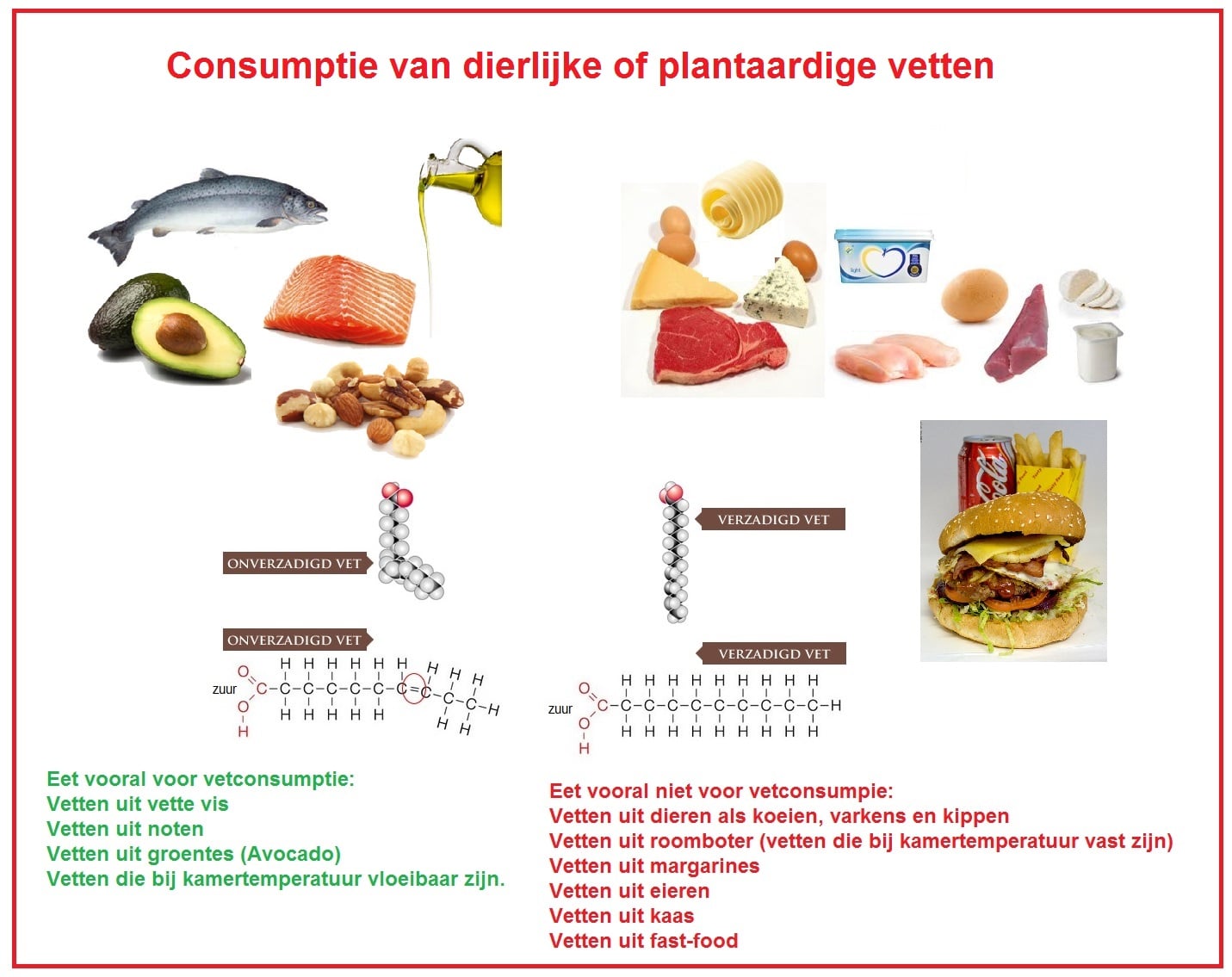 vetten voeding