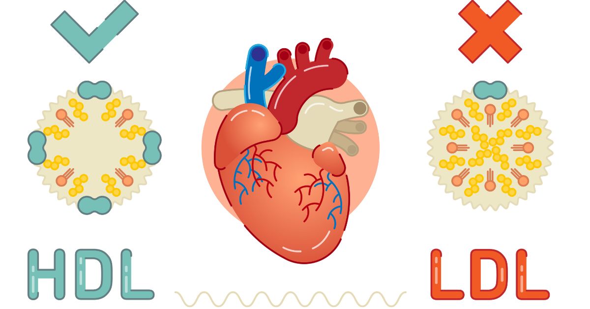 cholesterol dieet schema