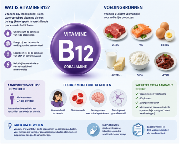b12 plantaardige voeding