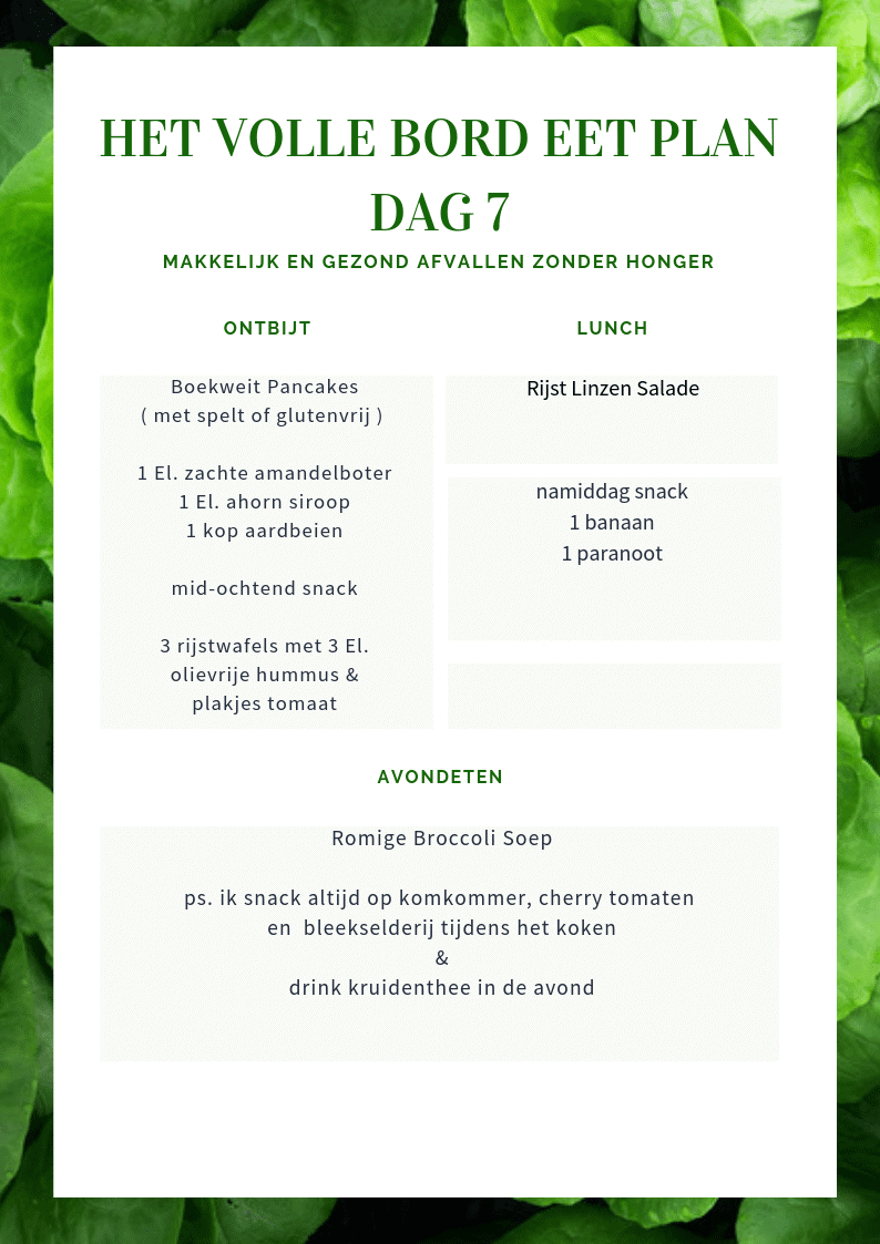 plantaardig dieet schema